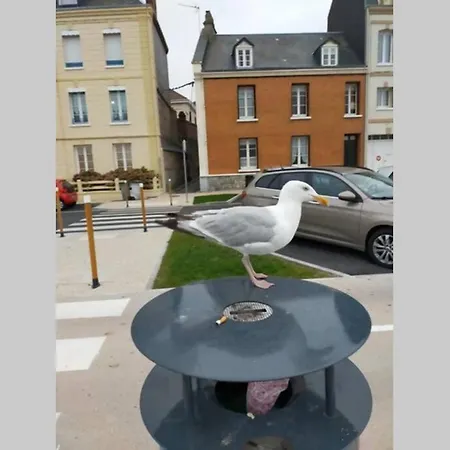 Entre Et Falaises 2